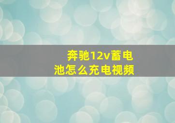 奔驰12v蓄电池怎么充电视频