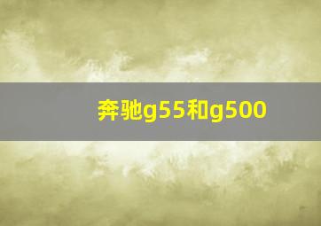 奔驰g55和g500