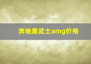 奔驰黑武士amg价格