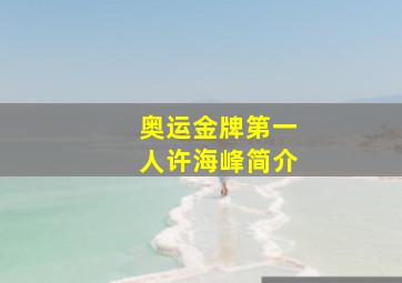 奥运金牌第一人许海峰简介