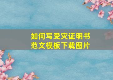 如何写受灾证明书范文模板下载图片