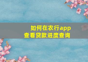 如何在农行app查看贷款进度查询