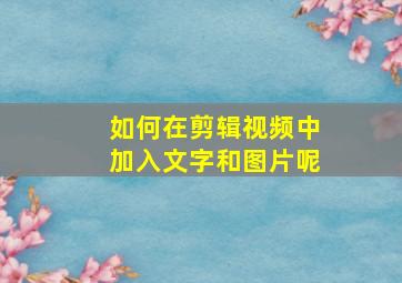 如何在剪辑视频中加入文字和图片呢