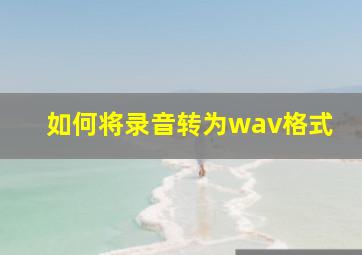 如何将录音转为wav格式