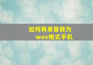 如何将录音转为wav格式手机