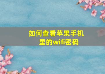 如何查看苹果手机里的wifi密码