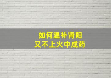 如何温补肾阳又不上火中成药