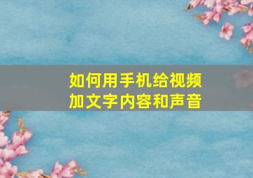 如何用手机给视频加文字内容和声音