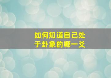 如何知道自己处于卦象的哪一爻