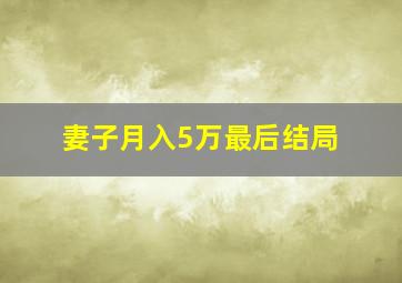 妻子月入5万最后结局