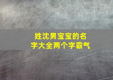 姓沈男宝宝的名字大全两个字霸气