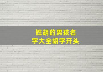 姓胡的男孩名字大全胡字开头