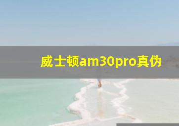 威士顿am30pro真伪