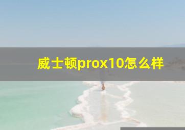 威士顿prox10怎么样