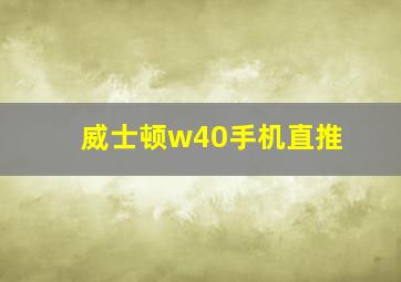 威士顿w40手机直推