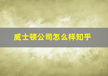 威士顿公司怎么样知乎