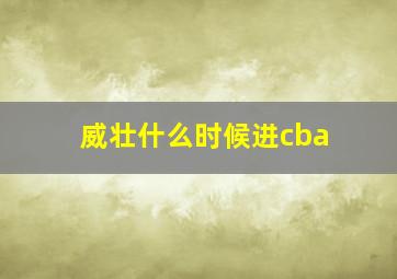 威壮什么时候进cba