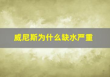 威尼斯为什么缺水严重