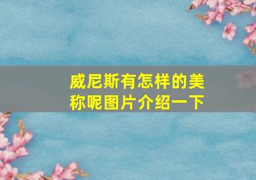 威尼斯有怎样的美称呢图片介绍一下