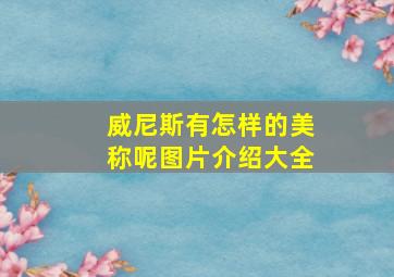 威尼斯有怎样的美称呢图片介绍大全