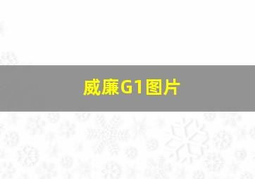 威廉G1图片