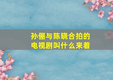 孙俪与陈晓合拍的电视剧叫什么来着