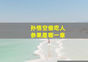 孙悟空偷吃人参果是哪一章