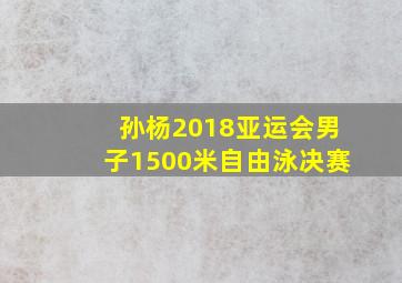 孙杨2018亚运会男子1500米自由泳决赛