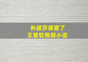 孙颖莎感冒了王楚钦照顾小说