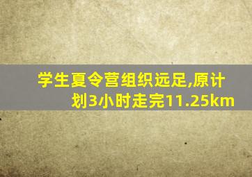 学生夏令营组织远足,原计划3小时走完11.25km