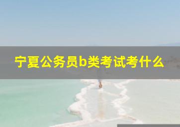 宁夏公务员b类考试考什么