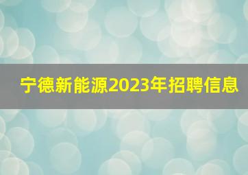 宁德新能源2023年招聘信息