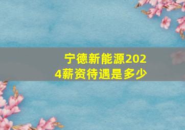 宁德新能源2024薪资待遇是多少