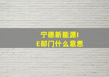 宁德新能源IE部门什么意思