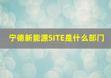 宁德新能源SITE是什么部门