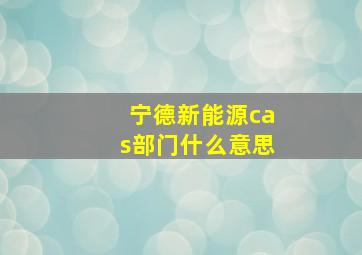 宁德新能源cas部门什么意思