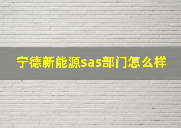 宁德新能源sas部门怎么样