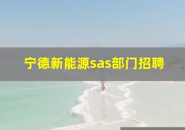 宁德新能源sas部门招聘