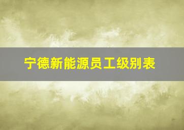 宁德新能源员工级别表