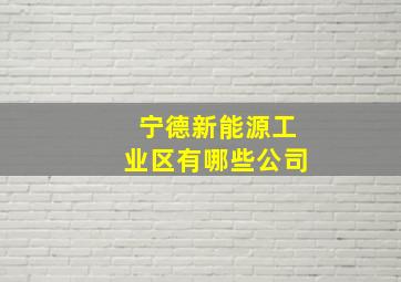 宁德新能源工业区有哪些公司