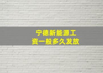 宁德新能源工资一般多久发放