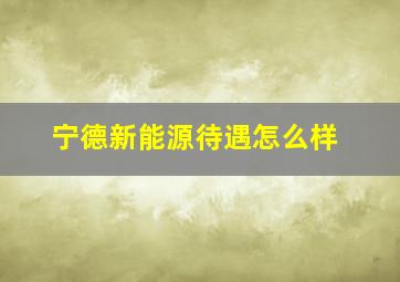 宁德新能源待遇怎么样