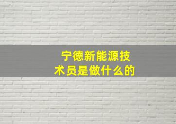 宁德新能源技术员是做什么的