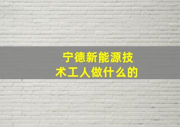 宁德新能源技术工人做什么的