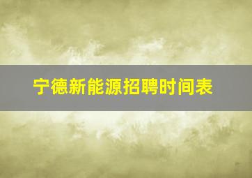 宁德新能源招聘时间表