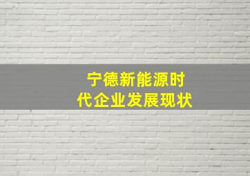 宁德新能源时代企业发展现状