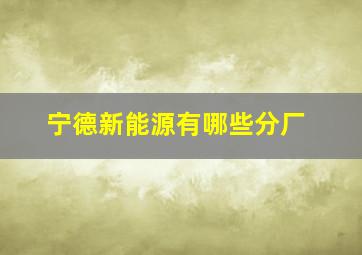 宁德新能源有哪些分厂