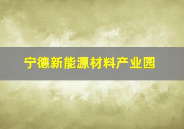 宁德新能源材料产业园