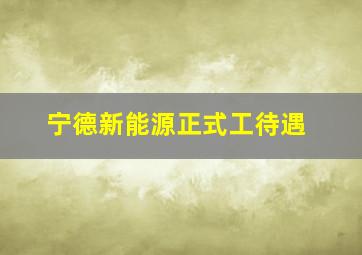 宁德新能源正式工待遇