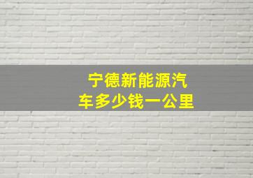 宁德新能源汽车多少钱一公里